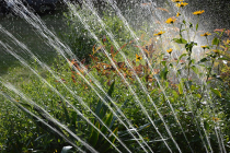 Installer un arrosage automatique ou manuel ? Avantages, inconvénients